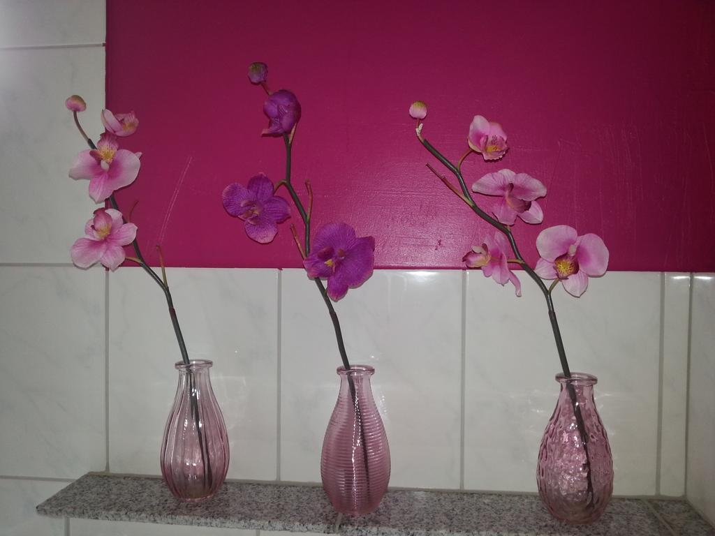 Ferienwohnung Grimmer 莱茵河畔威尔 外观 照片